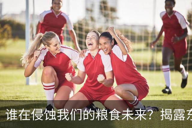 谁在侵蚀我们的粮食未来？揭露东北黑土的贱卖实情